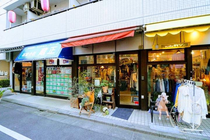 Anemone — storefront