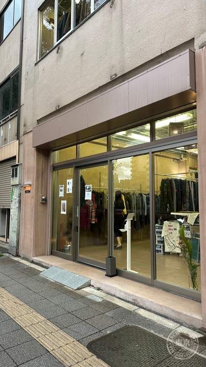 NEOTENY — storefront