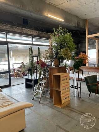 トトンSTORE・REPAIR・DIY — photo