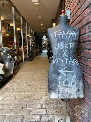 ｔｒａｓｈ — photo