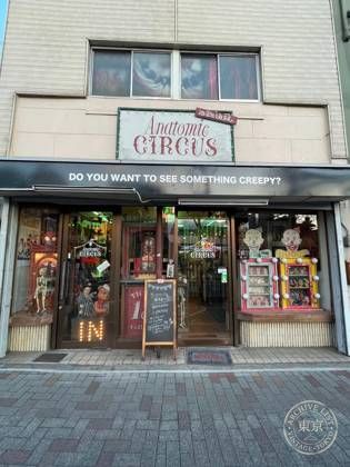 Anatomic circus — photo
