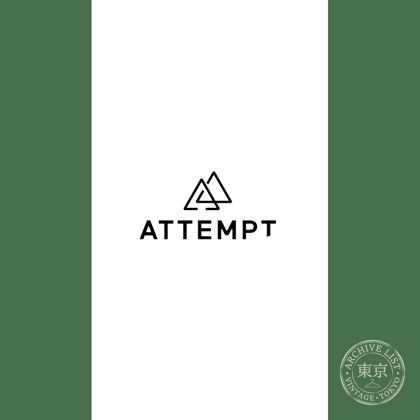 ATTEMPT — photo