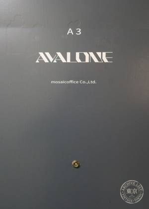 AVALONE STORE — photo