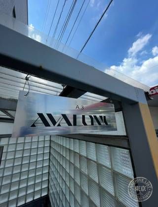 AVALONE STORE — photo