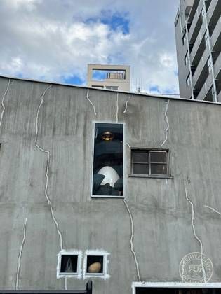 Doma bldg — photo
