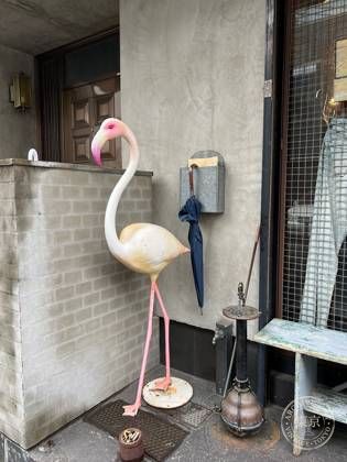 jelado — photo