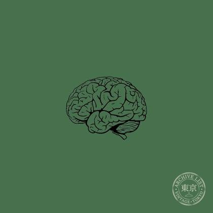 (my brain is only a) receiver — photo