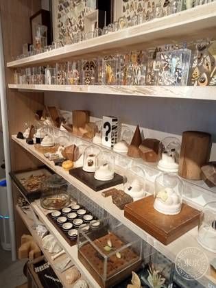out of museum — photo