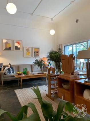 Pacifica Collectives — photo
