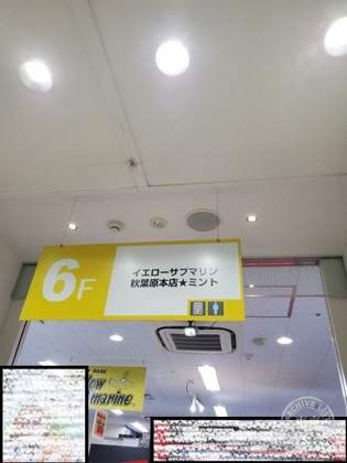 Yellow Submarine Akihabara Honten ★ Mint — photo