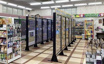 Toreca Champion Toyohashi Ushikawa — photo