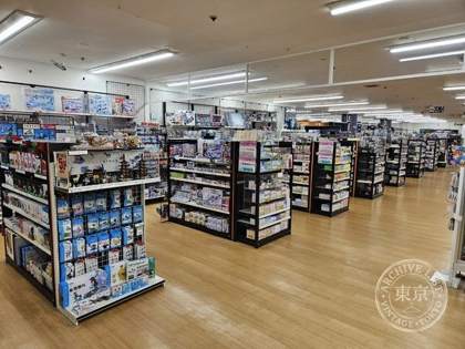 Hobby Zone Kabe — photo