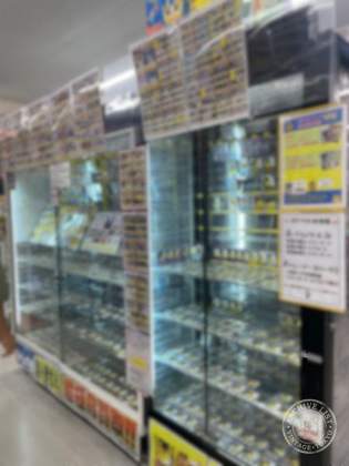 Ryu Hoshi no Arashi Nagoya — photo