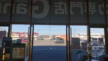 WonderGOO Koga — photo