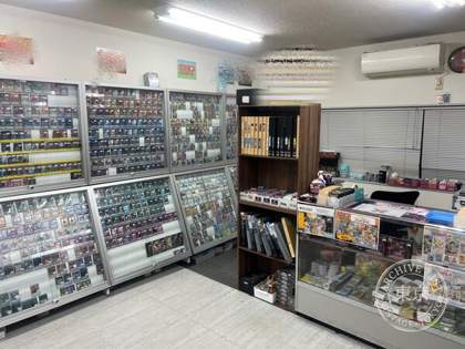 Toreca Konekuto — photo