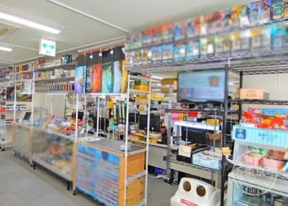 Card Shop Sera — photo