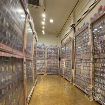 Card Shop Hobibi Okazaki — photo