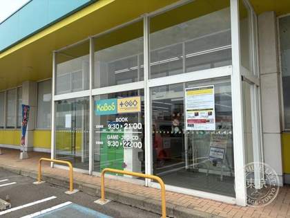 KaBoS+GEO Mikuni — photo