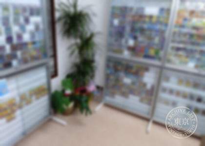 Card Shop Soreiyu — photo