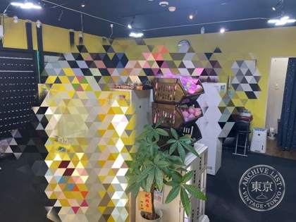 card shop clover — photo