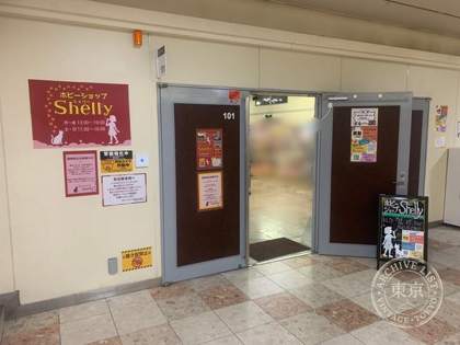 Hobby Shop Shelly — photo
