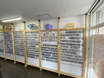 Card Shop P&P — photo