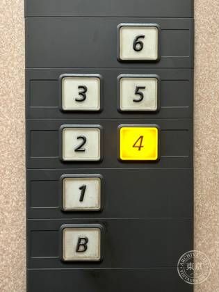 pp9(ピーピーナイン) — photo