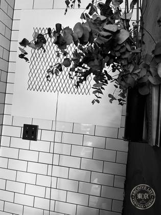 prasthana sendagaya store — photo