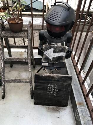 Softs — photo