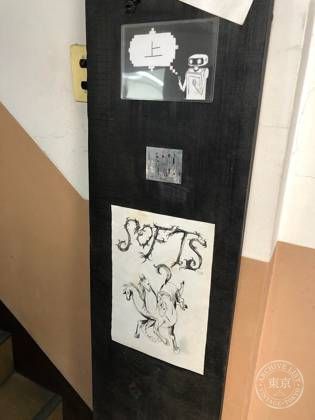 Softs — photo