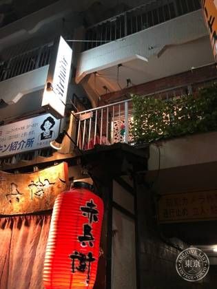 SQUASH DAIMYOU — photo