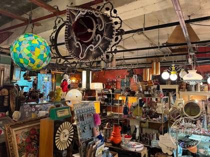 star cat (antique shop) — photo