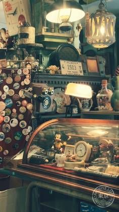 star cat (antique shop) — photo