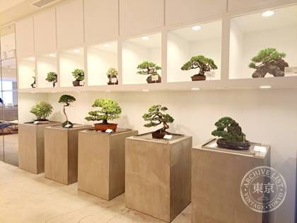 TRADMAN'S TOKYO -MARUNOUCHI BONSAI STORE- — photo